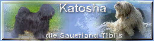 Katosha, die Sauerland-Tibis